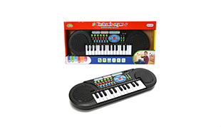 25 Keys Electronic Organ with Microphone /Light /Music /Battery